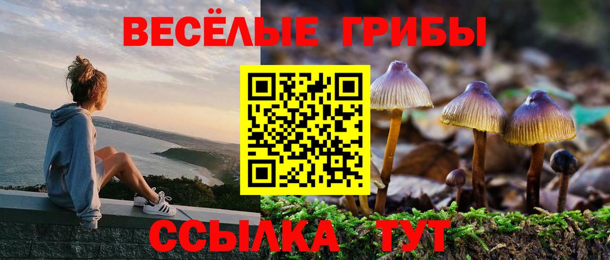 Галлюциногенные грибы прущие грибы  купить наркотик  Алатырь  Вход с VPN 